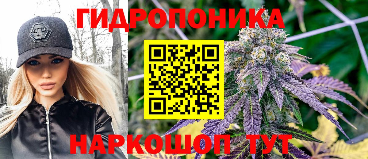 Канабис планчик Кстово